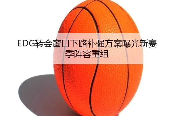 EDG转会窗口下路补强方案曝光新赛季阵容重组 - HUAQIUapp