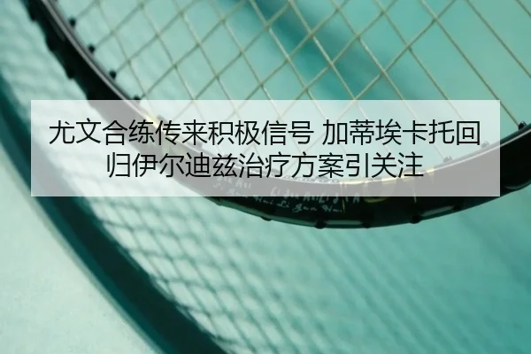 尤文合练传来积极信号 加蒂埃卡托回归伊尔迪兹治疗方案引关注 - HUAQIUapp