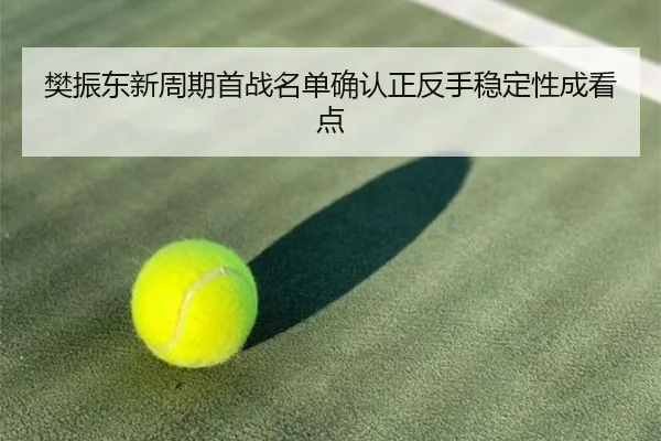 樊振东新周期首战名单确认正反手稳定性成看点 - HUAQIUapp